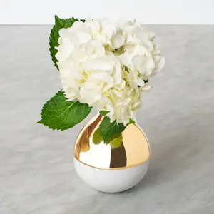 DUA-BVOS-37B Dual Bud Vase Marble & Gold Carrara Marble / Gold