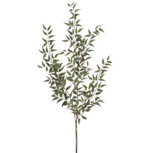 PSR249-CR 49"ITALIAN RUSCUS LEAF SPRAY