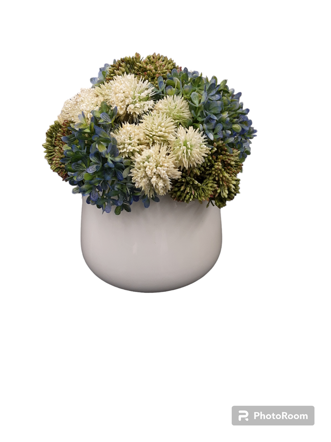 White Shiny Pot Sedem - BLUE Or PINK Flowers