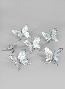 Silver Butterflies