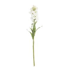 30 INCH WHITE STOCK FLOWER STEM