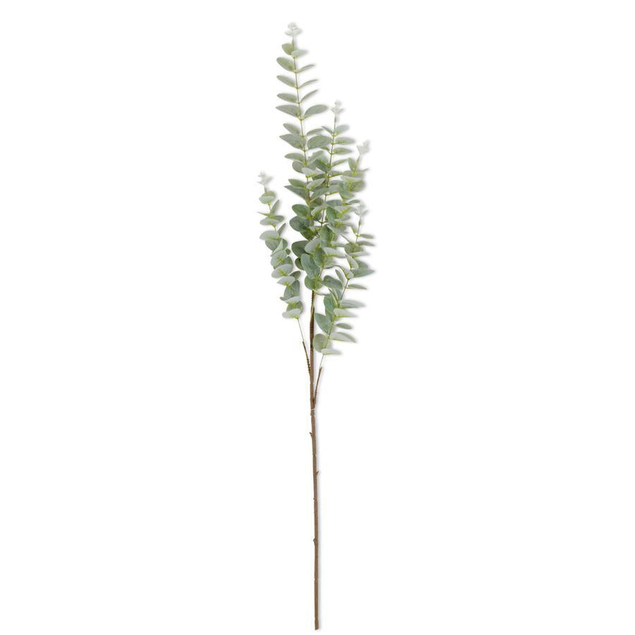 38 Inch Light Green Gunnii Eucalyptus Stem