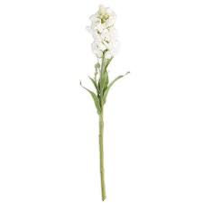 20.5 Inch White Stock Flower Stem