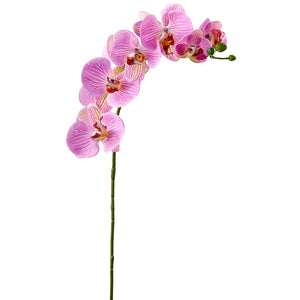 FSO173-PK/RB 30"RT PHALAENOPSIS SPRAY 9F