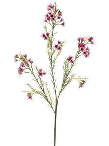 GSW121-MV/PK  27"WAXFLOWER SPRAY X3 72F36B